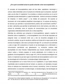 ¿Por qué la sociedad actual se puede entender cómo tecnocapitalista?