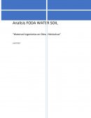 Analisis FODA Water Soil