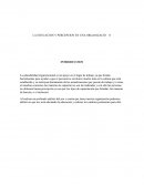 EDUCACION Y PERCEPCION EN UNA ORGANIZACION