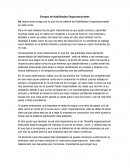 Ensayo de Habilidades Organizacionales