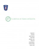 Eejmplo de el Mapuches