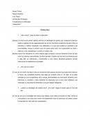 ¿Que vieron? ¿Qué les llamo la atención?