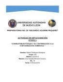 Dentro del ciclo del carbono, existen 3 etapas en donde se desarrolla este proceso, tales como: I dont know