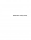 Indignados Si ustedes levantan muros, nosotros construiremos túneles