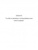 La elite se atrinchera y la desconfianza crece como la espuma. Ensayo
