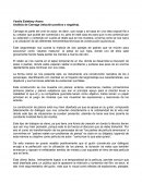 Ensayo Análisis de Carnage (relación positiva o negativa).