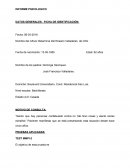 Informe psicologico DATOS GENERALES - FICHA DE IDENTIFICACIÓN: