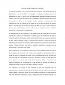 Desarrollo de un Ensayo indicadores de gestion