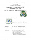 Cuenca hidrografica del rio tonchima DEPARTAMENTO ACADÉMICO DE CIENCIAS AMBIENTALES Y SANITARIA