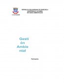 Elementos del ambiente: Dentro del marco de la Gestión Ambiental
