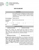 Cual es la Guis de analisis