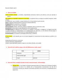 Existen variados criterios a considerar, dependiendo de factores internos y/o externos como por ejemplo la cultura.. Página 1