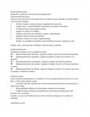 Ensayo El nuevo Diseño Organizacional