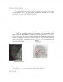 Dactiloscopia COTEJO DACTILOSCOPICO