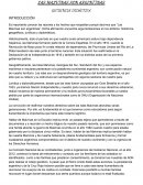 Secuencia didáctica las islas Malvinas