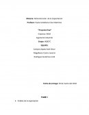 Ejemplo y fases de la capacitación 3 y 4 “Proyecto final”