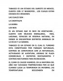 TABASCO ES UN ESTADO DEL SURESTE DE MEXICO, CUENTA CON 17 MUNICIPOS , LOS CUALES ESTAN DIVIDOS EN 3 REGIONES: