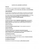 HUESOS DEL MIEMBRO SUPERIOR.