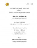 PORTAFOLIO DE EVIDENCIAS UNIDAD 1: TEOREMA FUNDAMENTOS DE CACULO