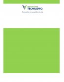 EVIDENCIA PLANEACIONES ESTRATEGICAS