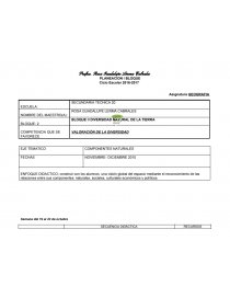 Planeacion Geografia Secundaria Bloque 2 Descargar PDF