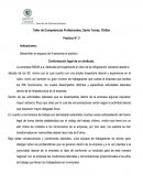 Desarrollar en equipos de 4 personas el practico