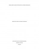 Filósofos pertenecientes al periodo cosmologico