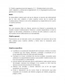 PLAN DE NEGOCIO CIBER