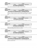 Actividad de organización y jerarquizacion