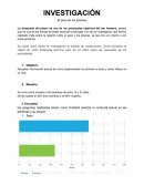 Investigación. El sexo en los jóvenes