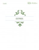 ESTRES Concepto, Manejo y Técnicas