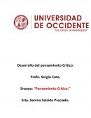 Desarrollo del pensamiento Crítico. Ensayo: “Pensamiento Crítico.”