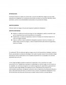 ANALISIS DE MATRIZ DE RIESGOS