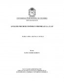 ENTORNO MICROECONOMICO DE LA EMPRESA PROMIGAS S.A. E.S.P
