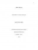 HUMANISMO Y CULTURA CIUDADANA