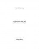 CASO PRÁCTICO MANILA