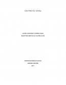 CASO PRÁCTICO NAVIDUL