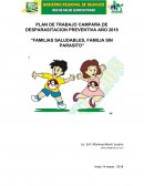 Plan de trabajo campaña de desparasitacion