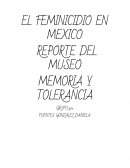 EL FEMINICIDIO EN MEXICO