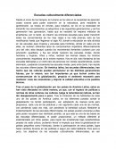 Ensayo Escuelas culturalmente diferenciadas