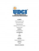 Administracion Visar A.C