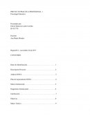 Proyecto de Practica en Psicología Educativa