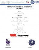 Reporte de visita a marves