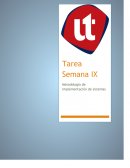 Implementación y mantenimiento de sistemas