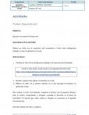 Actividades Trabajo: Exposición oral