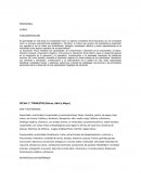 PLANIFICACION ANUAL La Educación Física mediante las capacidades de Comprensión y desarrollo de la Corporeidad y la Salud