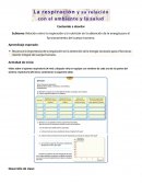 La respiración. Para vivir necesitamos respirar continuamente