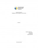 Resumen ideas de la historia