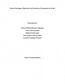 Fijación estrategia y elaboración del pronóstico y presupuesto de ventas