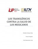 LOS TRANSGÉNICOS CONTRA LA SALUD DE LOS MEXICANOS